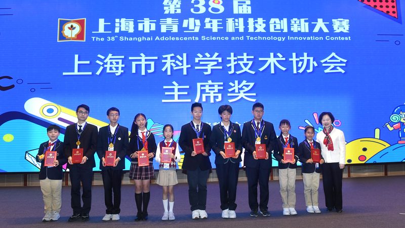 系统集成项目预算制定关键步骤解析**