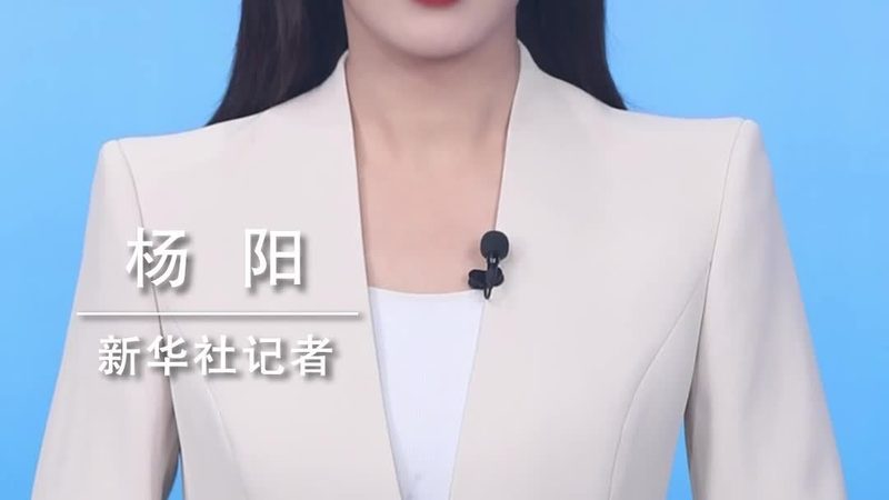 金融行业数据中台治理：构建高效数据架构的关键**